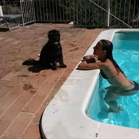 Apartament Ca Civetta *